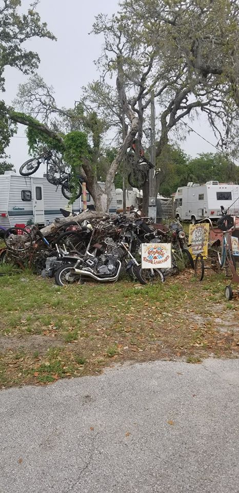 Last Resort Bar memorial tree